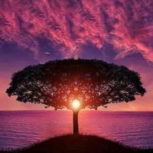 Meet your Posher, Jenel